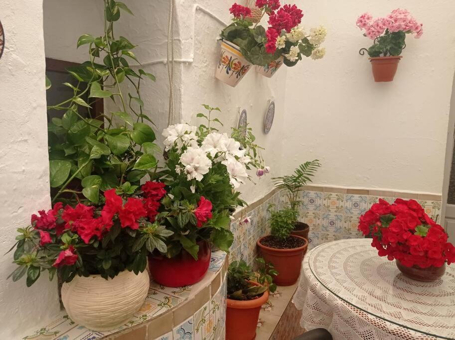 Casa Tipica De Pueblo Andaluz Villa Villanueva de San Juan Esterno foto